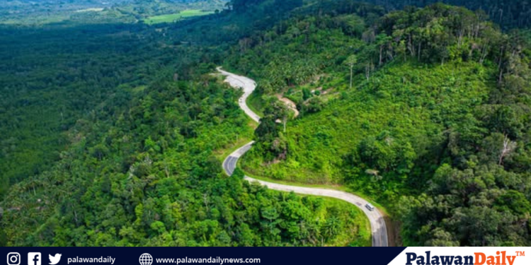 Gov’t greening programs plants 130,000 jackfruit in Rizal, Palawan