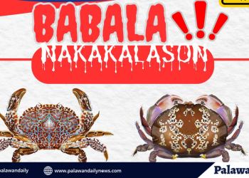 When the catch becomes the killer