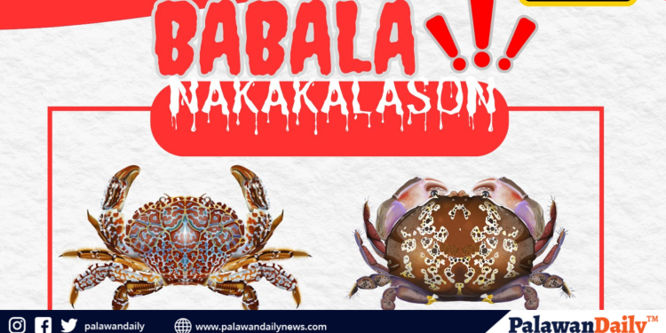 When the catch becomes the killer