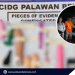 Umano’y cyber-trafficker sa Palawan, nakatakas sa operasyon ng CIDG; Mga ginamit na sext toys, narekober