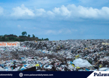 Puerto Princesa studies waste-to-fuel technology