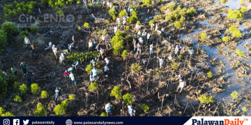 City ENRO spearheads mangroves planting during World Wetlands Day