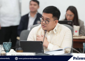 Cong. Acosta wants veterinary med offered in WPU