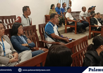 City presents proposed land public transport route plan