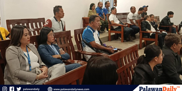 City presents proposed land public transport route plan