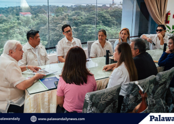 Puerto Princesa, magkakaroon na ng modernong retirement home