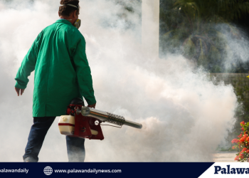 Palawan nears a malaria milestone, but a stubbornly urban dengue outbreak claims the young