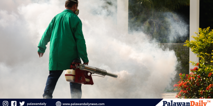 Palawan nears a malaria milestone, but a stubbornly urban dengue outbreak claims the young