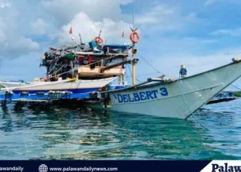 Palawan, unang probinsya na nagbawal sa commercial fishing sa municipal waters; BFAR, pinakikilos sa vessel data