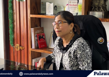 Vice Mayor Feliciano sa Calmia: ‘Bakit kailangang mag-coordinate? May titulo ba sila doon?’