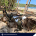 Aborlan becomes global stage for Balikatan 2026 Counter-Landing drills