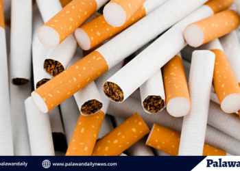 Illicit tobacco trade in MIMAROPA reaches record highs