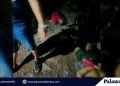 Apat pang pulis na sangkot sa Irawan shooting incident, pinangalanan na