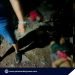 Apat pang pulis na sangkot sa Irawan shooting incident, pinangalanan na