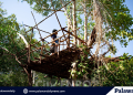 Structure in mangroves area demolished