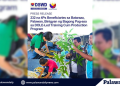 DSWD, DOLE trains 232 4Ps beneficiaries in Bataraza