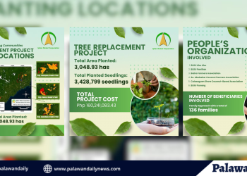 Ipilan Nickel, naglaan ng mahigit ₱160-M para sa proyektong reforestation