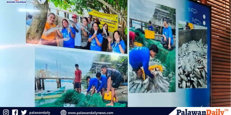 BFAR trains Bangus fish cage operators to sustain local production in Puerto Princesa
