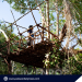 Structure in mangroves area demolished