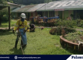 Calmia Nickel strengthens support for education through Brigada Eskwela