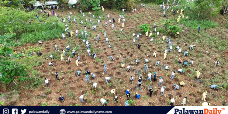 CBNC plants over 5,000 Palawan endemic trees to mark World Environment Day