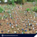CBNC plants over 5,000 Palawan endemic trees to mark World Environment Day