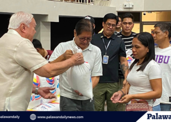 Pangulong Marcos, pinangunahan ang pamamahagi ng bigas at pinansyal na tulong sa mga pamilya at barangay sa Puerto Princesa