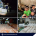 ₱10.6-M smuggled cigarettes intercepted off Balabac; five arrested