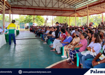 DENR-EMB, nagsagawa ng public hearing sa Brooke’s Point kaugnay sa kahilingan ng Ipilan Nickel na taasan ang taunang produksyon nito ng nickel ore