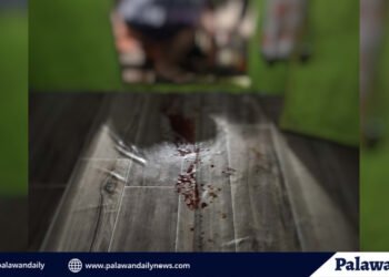 Faith healer gunned down inside Quezon home