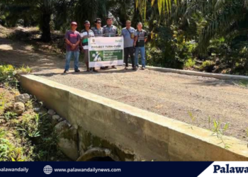 New culvert bridge improves access in Bataraza barangay