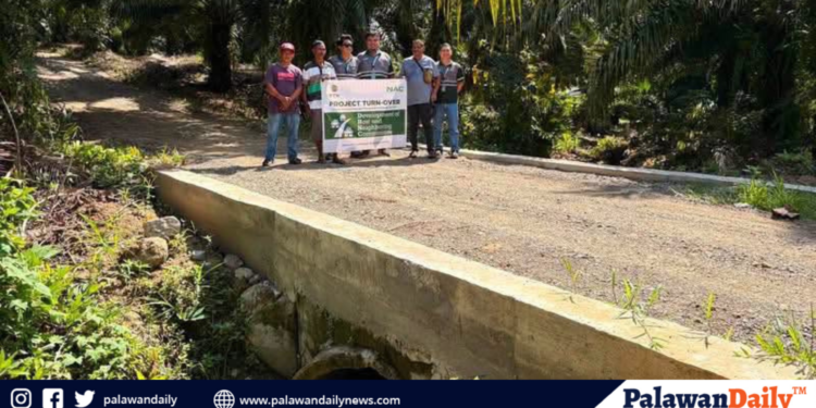 New culvert bridge improves access in Bataraza barangay