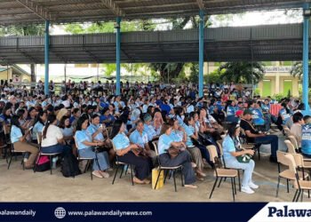 Bataraza literacy project launched to boost grade school reading skills