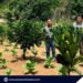 RTN, LGUs partner on 3-hectare intercropping plantation in Rizal