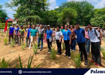 RTN, WPU launch pineapple plantation project in Rio Tuba