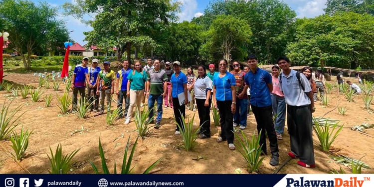 RTN, WPU launch pineapple plantation project in Rio Tuba