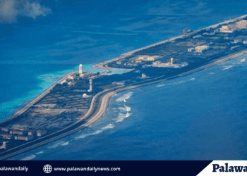 BFAR assists linapacan fisherfolk to boost squid and other fishery commodities