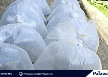 Ippf launches tilapia fly hauling and stocking initiative