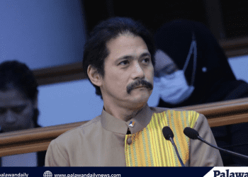 Decades of coral growth lost in minutes to Chinese anchor