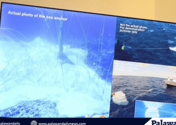 Decades of coral growth lost in minutes to Chinese anchor