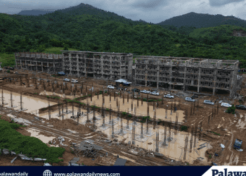 Decades of coral growth lost in minutes to Chinese anchor