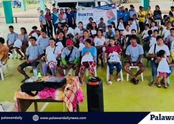 Palawan turns to grassroots solutions to lower maternal deaths