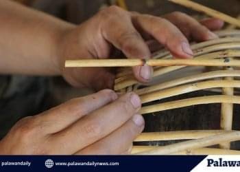 Yantok transporter alleges DENR employees misdeclared their shipment