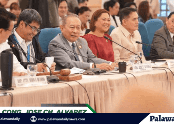 Congress pushes for strengthening energy and supply security