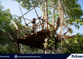 Structure in mangroves area demolished