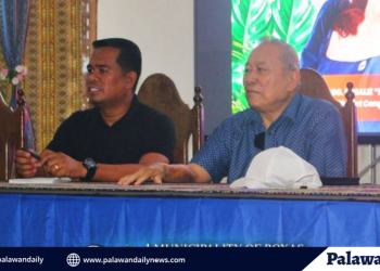 Alvarez consults locals for proposed biomass plant in Roxas town