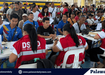 DSWD AICS set to release P5,000 cash assistance to 566 drivers in Palawan